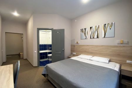 Бизнес 2-местный (DBL/TWIN)