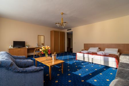 Детская игровая комната