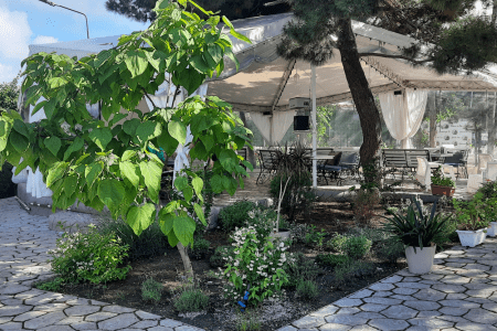 «Феодосия» отель