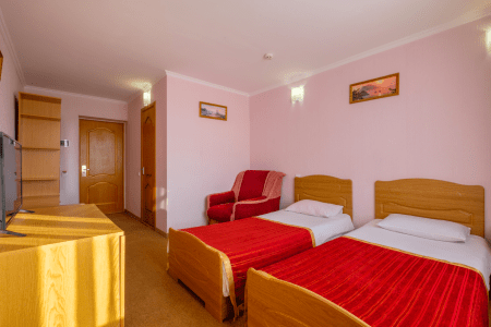 Стандартный Эконом 2-местный 1-комнатный