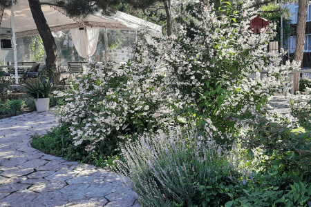 «Феодосия» отель