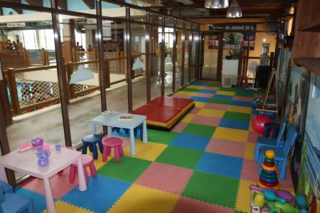 Внешний вид