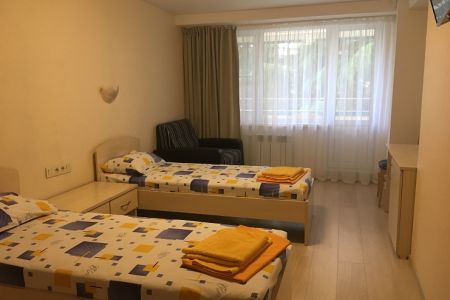 Стандарт 2-местный