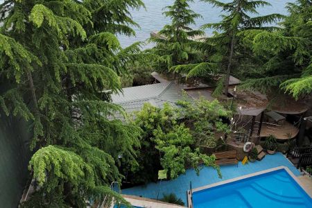 Территория