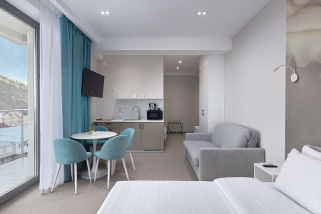 Studio plus 2-местный 1-комнатный