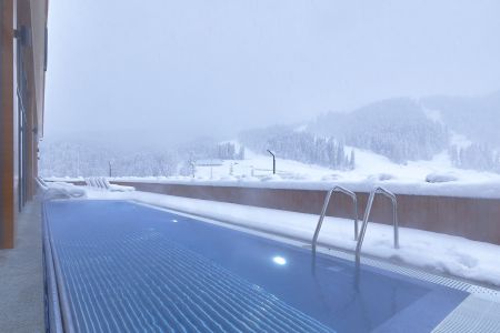 Шведская линия