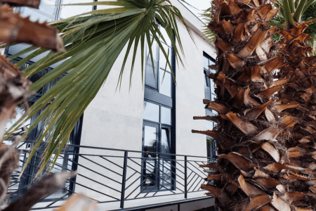 Внешний вид