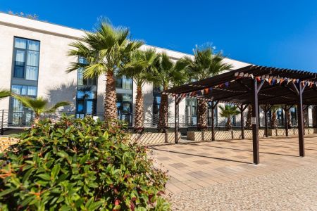 Внешний вид