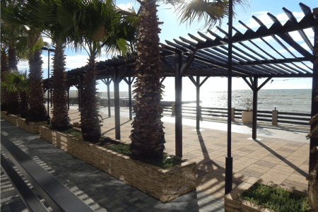 Внешний вид