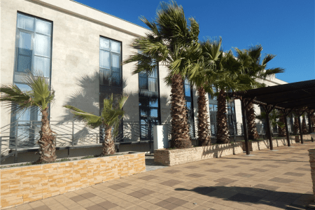 Внешний вид