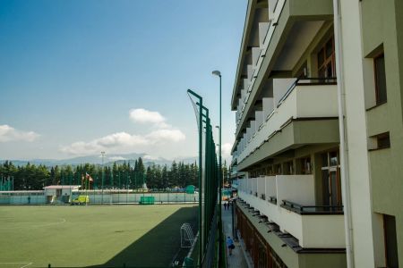 Внешний вид