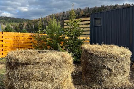 Внешний вид