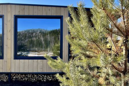 Внешний вид