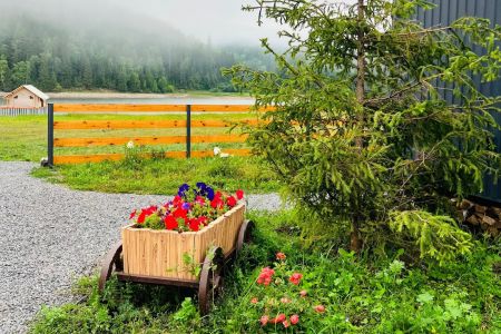 Внешний вид