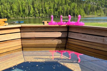 Внешний вид