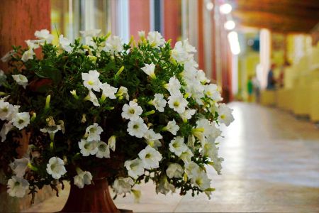 Детская площадка