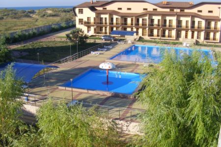 Внешний вид