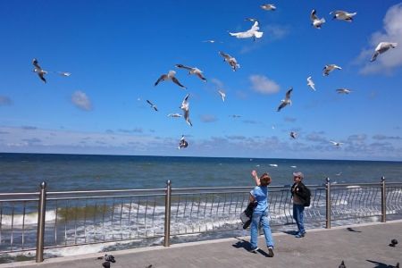 Внешний вид