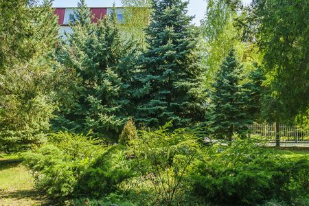 Парковая зона