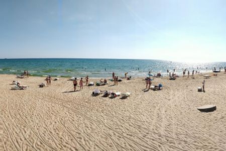 Внешний вид