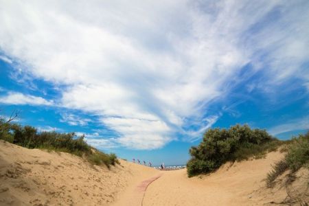 Внешний вид