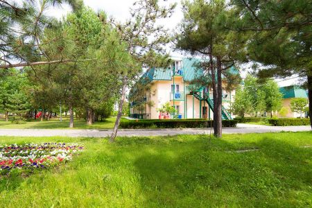 Внешний вид