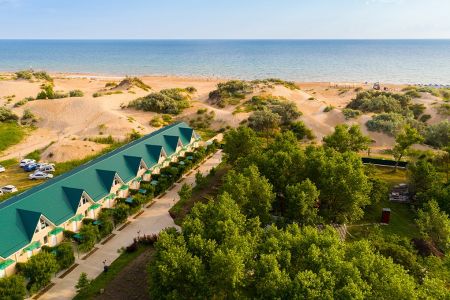 Внешний вид