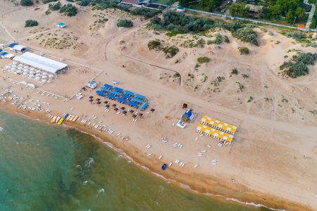 Внешний вид