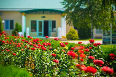 Внешний вид