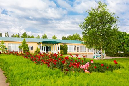 Внешний вид