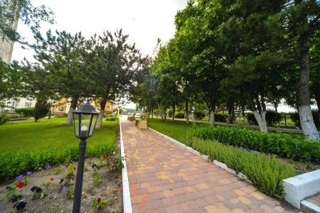 Внешний вид