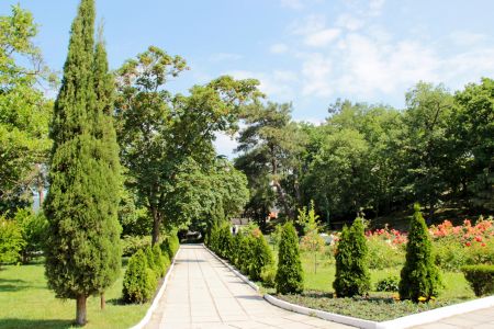 Территория