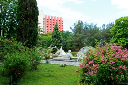 Территория