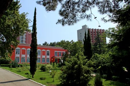 Внешний вид