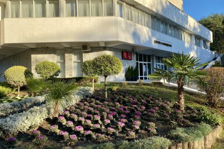 Внешний вид