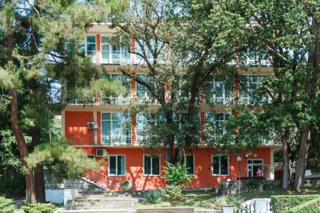 Внешний вид