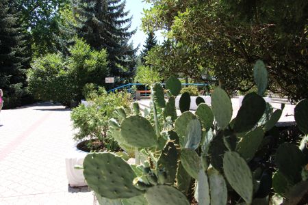 «Славутич» санаторий