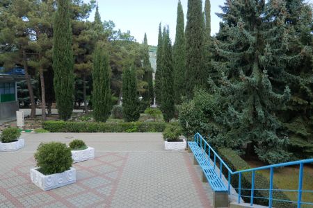 территория бассейн