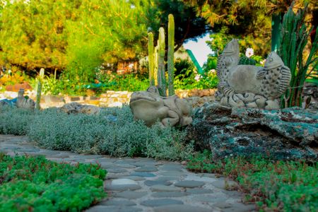 Территория