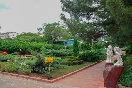 Территория