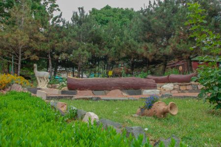 Территория