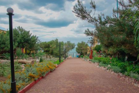 Территория