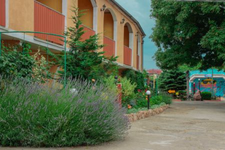 Территория