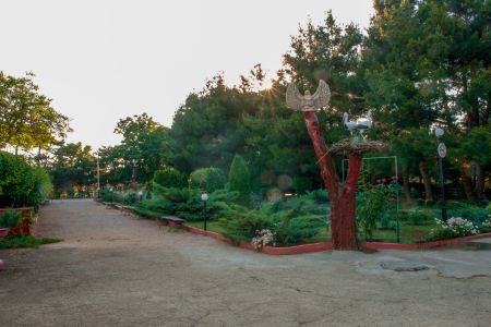 Территория