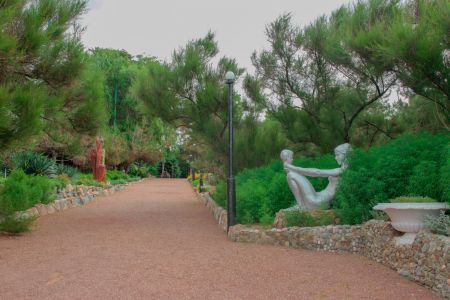 Территория