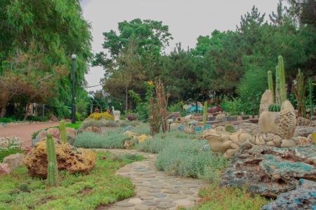 Территория