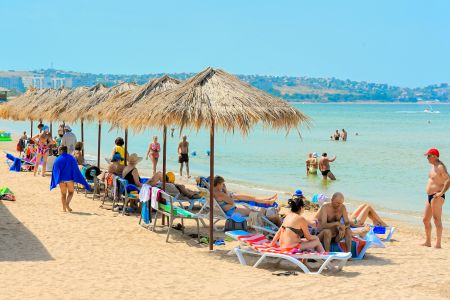 Внешний вид