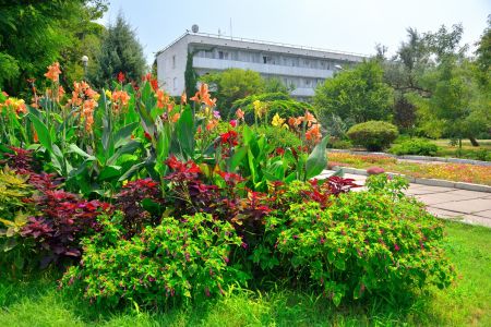 Внешний вид