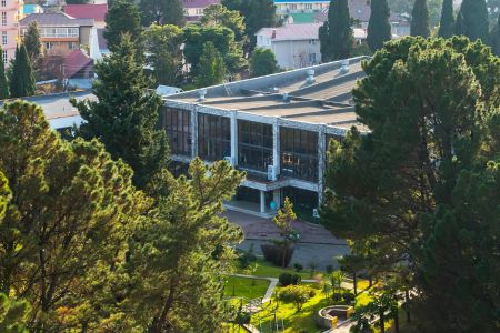 Внешний вид