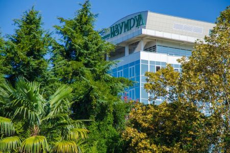 Внешний вид